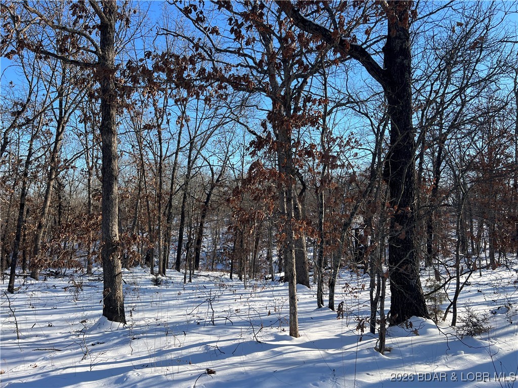 Partridge Drive Climax Springs, MO 65324 - Photo 14 of 27