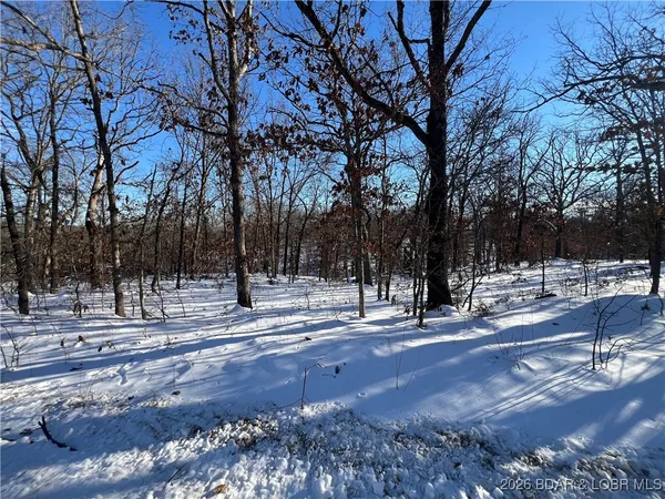 $29,900 | Partridge Drive, Climax Springs, MO 65324