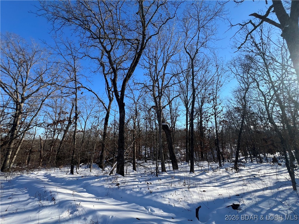 Partridge Drive Climax Springs, MO 65324 - Photo 17 of 27