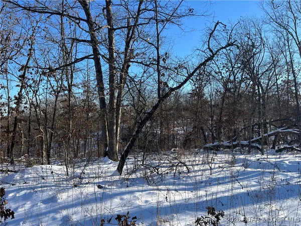 $29,900 | Partridge Drive, Climax Springs, MO 65324