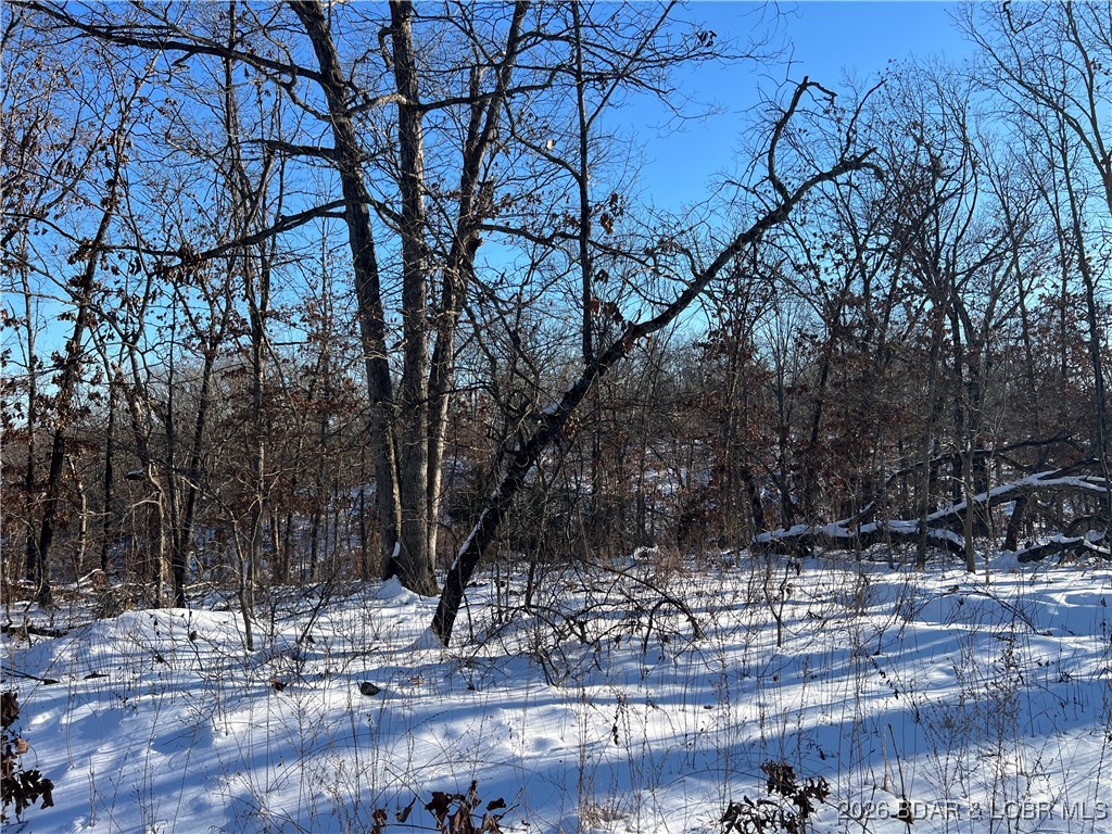 Partridge Drive Climax Springs, MO 65324 - Photo 18 of 27