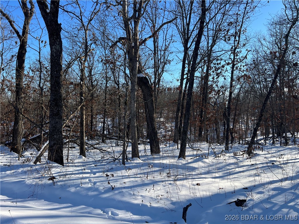 Partridge Drive Climax Springs, MO 65324 - Photo 19 of 27