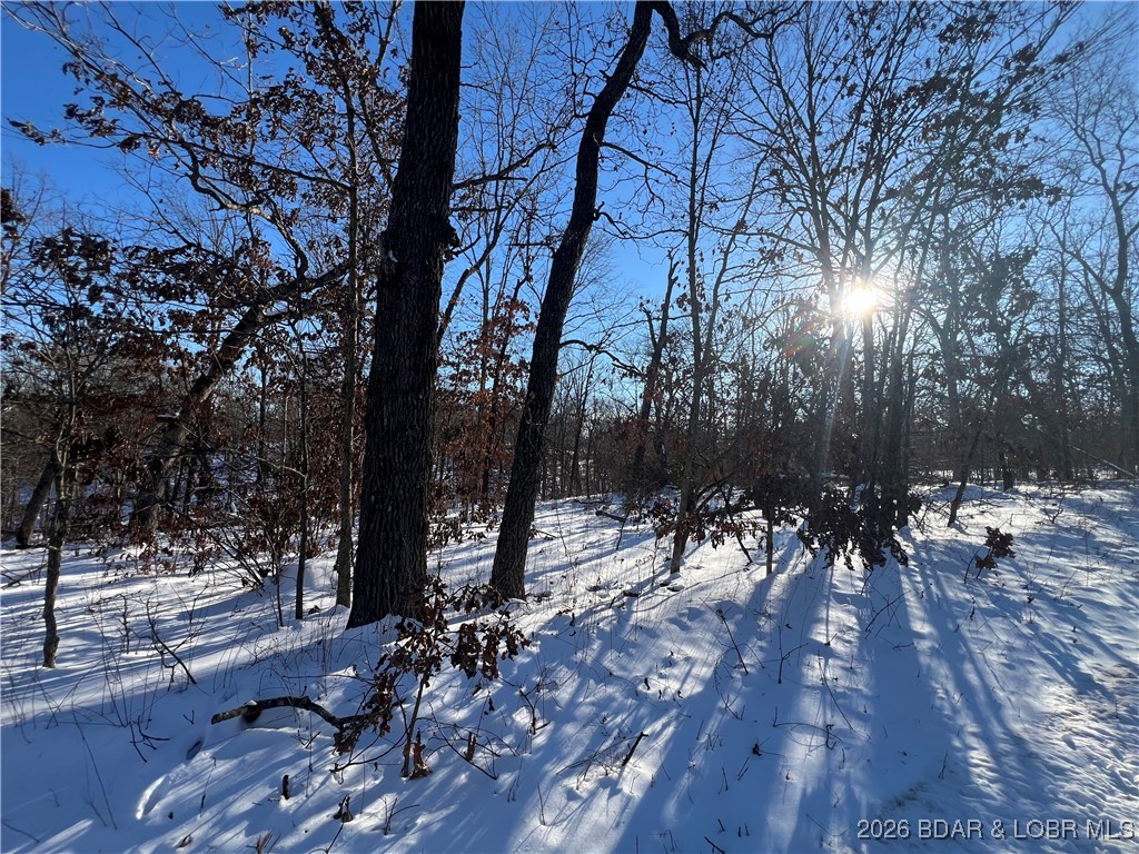 Partridge Drive Climax Springs, MO 65324 - Photo 20 of 27