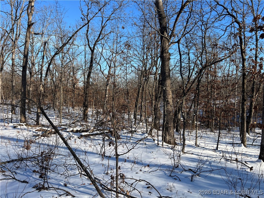 Partridge Drive Climax Springs, MO 65324 - Photo 2 of 27