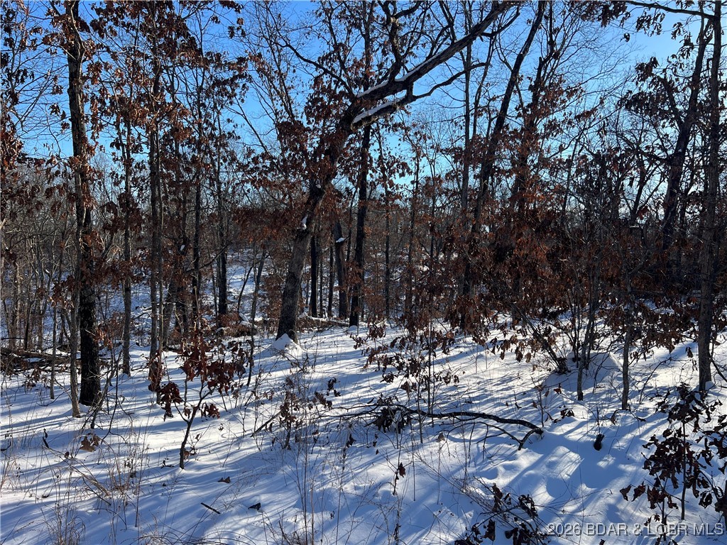 Partridge Drive Climax Springs, MO 65324 - Photo 22 of 27