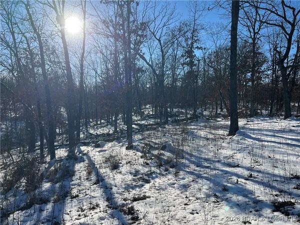 $29,900 | Partridge Drive, Climax Springs, MO 65324