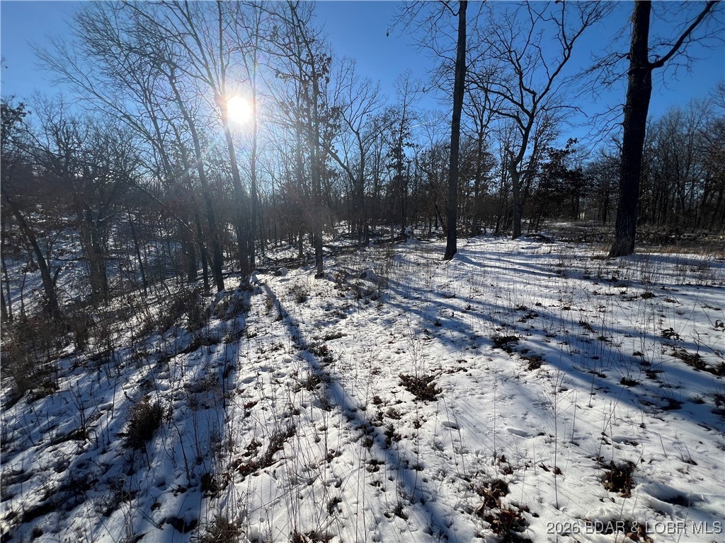 Partridge Drive Climax Springs, MO 65324 - Photo 27 of 27