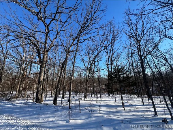 $29,900 | Partridge Drive, Climax Springs, MO 65324