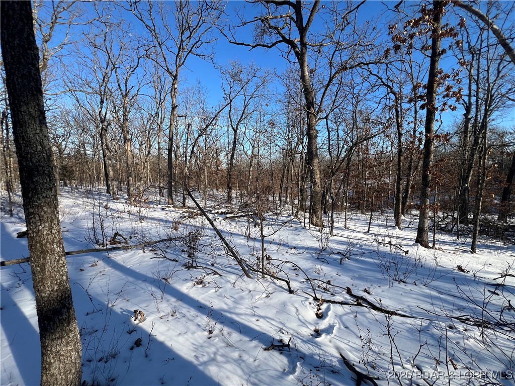 Partridge Drive Climax Springs, MO 65324 - Photo 6 of 27