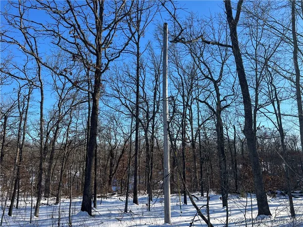 $29,900 | Partridge Drive, Climax Springs, MO 65324