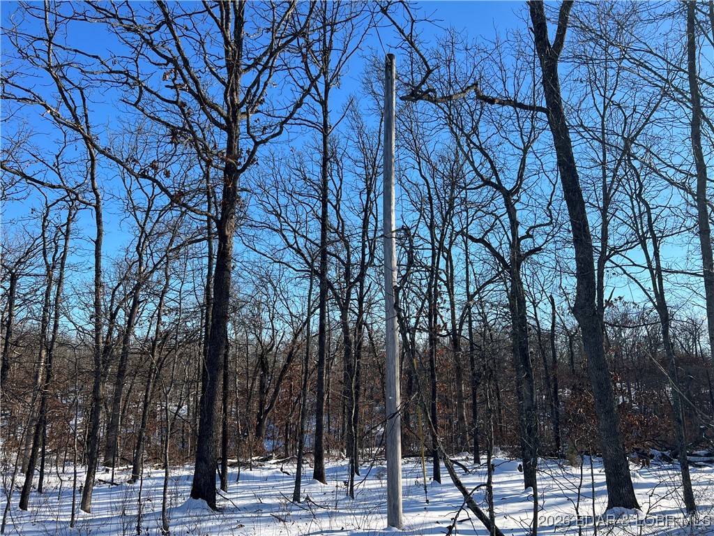 Partridge Drive Climax Springs, MO 65324 - Photo 7 of 27