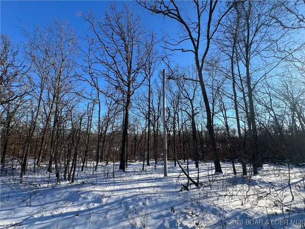 $29,900 | Partridge Drive, Climax Springs, MO 65324