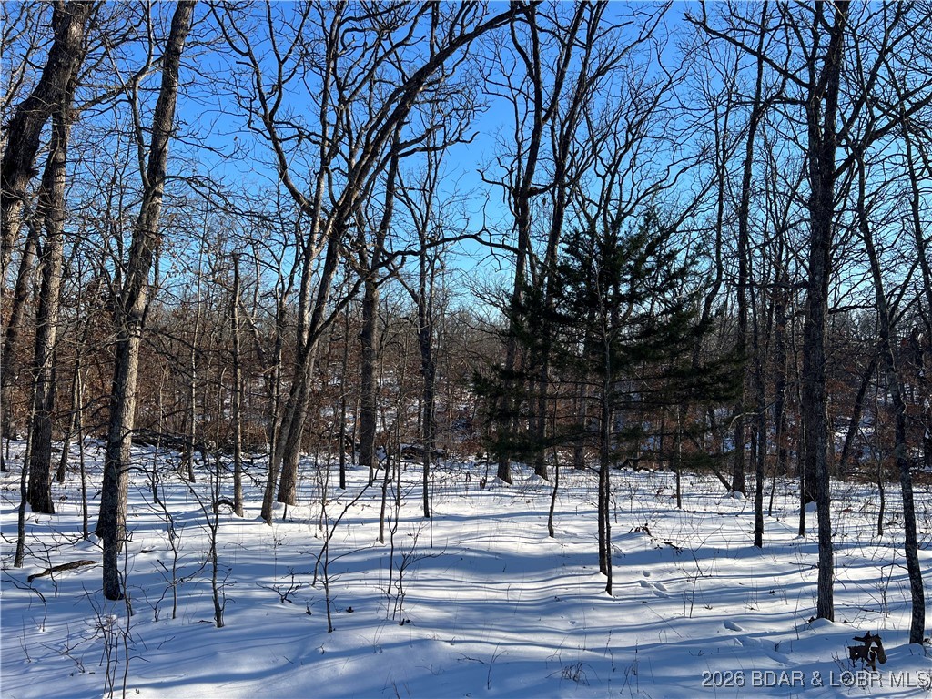 Partridge Drive Climax Springs, MO 65324 - Photo 9 of 27