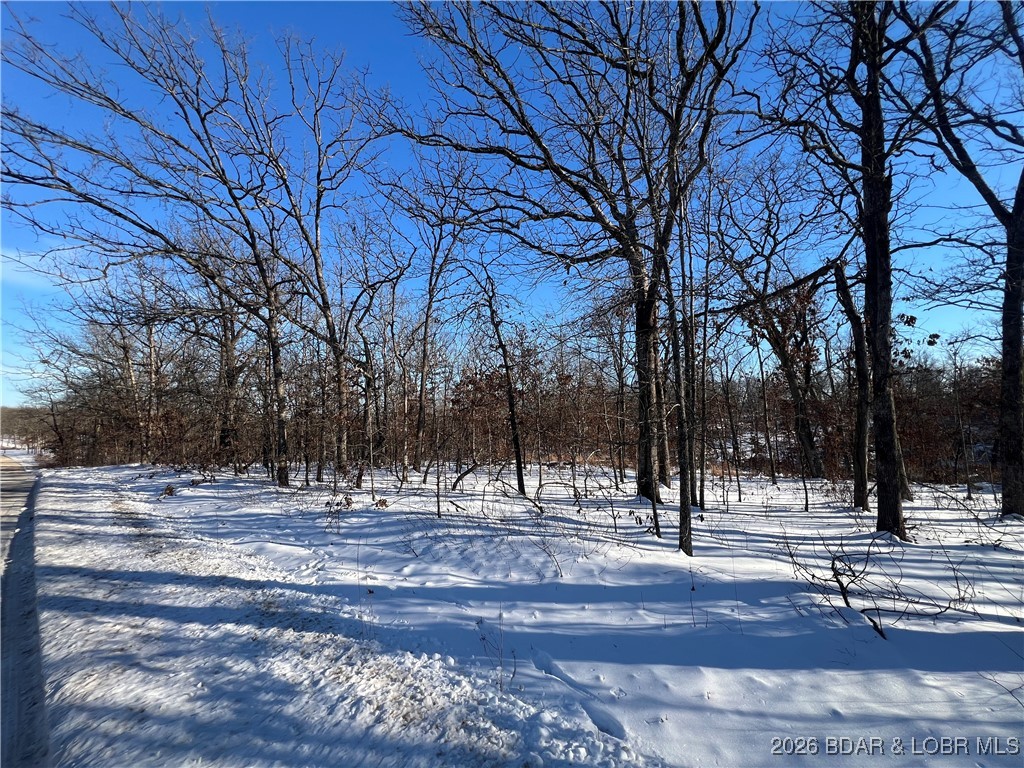 Partridge Drive Climax Springs, MO 65324 - Photo 10 of 27