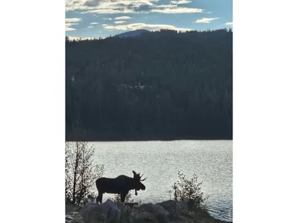 $410,000 | 246 Panamint Way, Red Feather Lakes, CO 80545