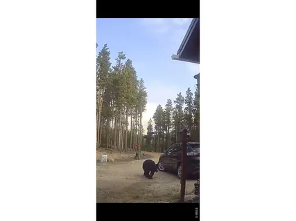 $410,000 | 246 Panamint Way, Red Feather Lakes, CO 80545