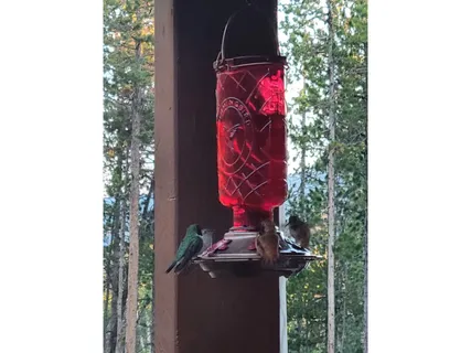 $410,000 | 246 Panamint Way, Red Feather Lakes, CO 80545