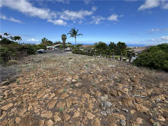 a view of a dry yard with trees