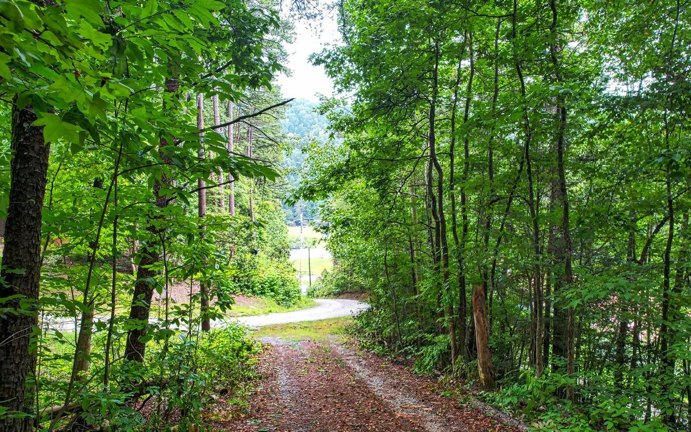 Lot 1 Raleigh Ridge Drive Blue Ridge, GA 30513 - Photo 2 of 4 Additional View