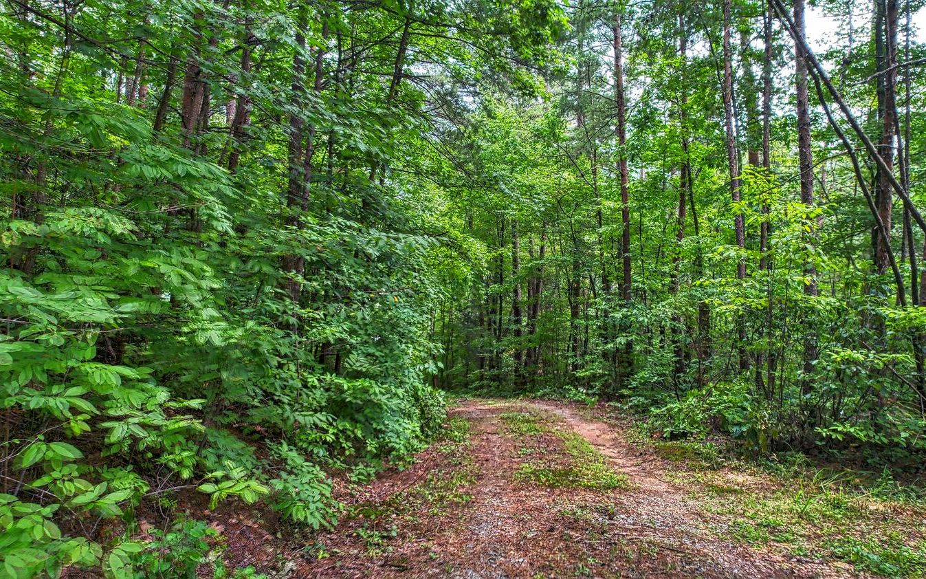 Lot 1 Raleigh Ridge Drive Blue Ridge, GA 30513 - Photo 4 of 4 Additional View