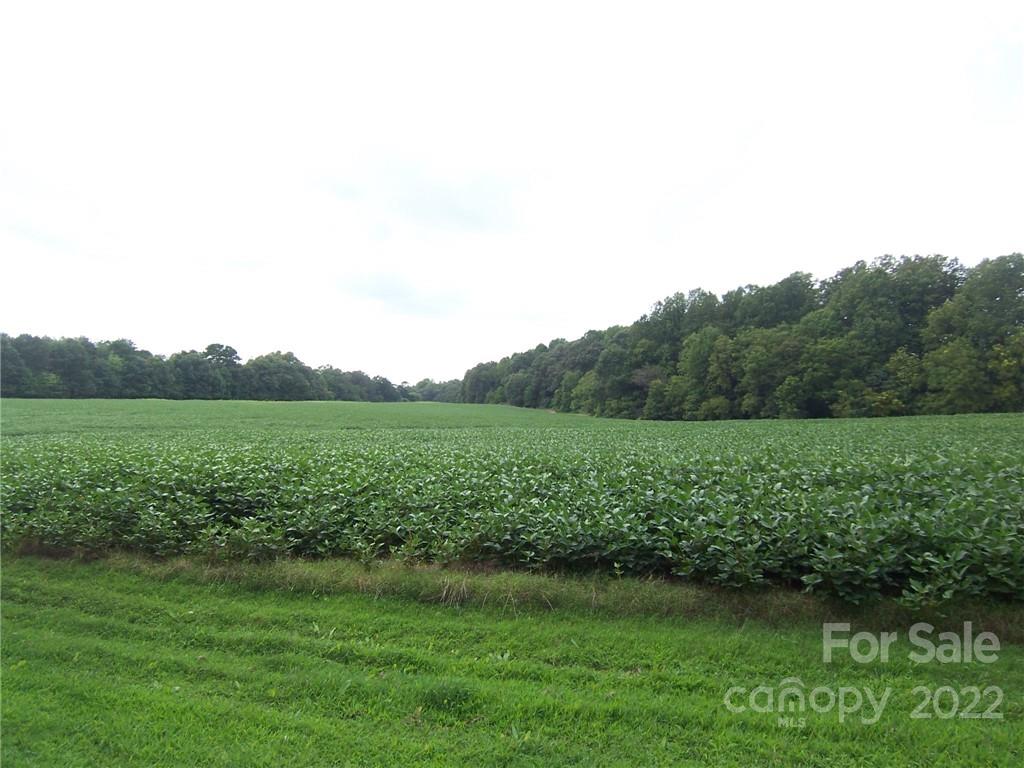 4529 Fallston Road Lawndale, NC 28090 - Photo 33 of 38 a view of a garden with a lake