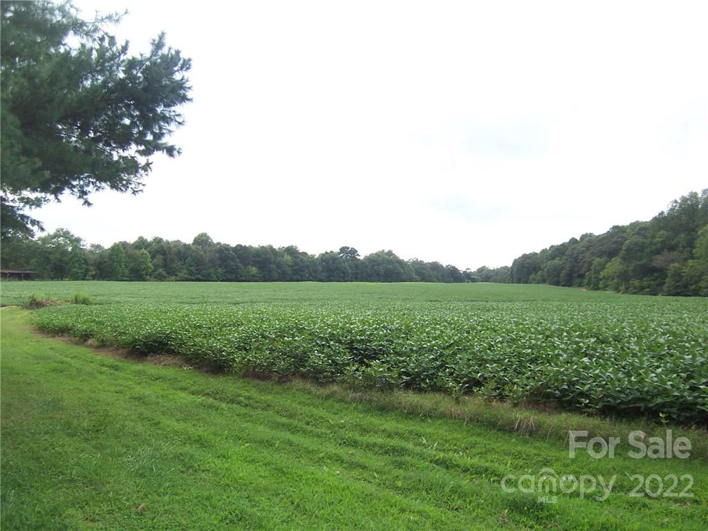 4529 Fallston Road Lawndale, NC 28090 - Photo 34 of 38 a view of a lake with green field
