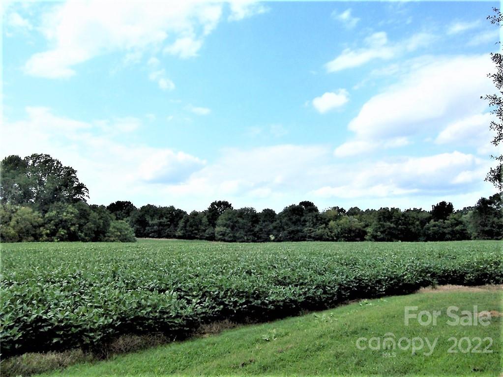 4529 Fallston Road Lawndale, NC 28090 - Photo 35 of 38 a view of a golf course with a garden