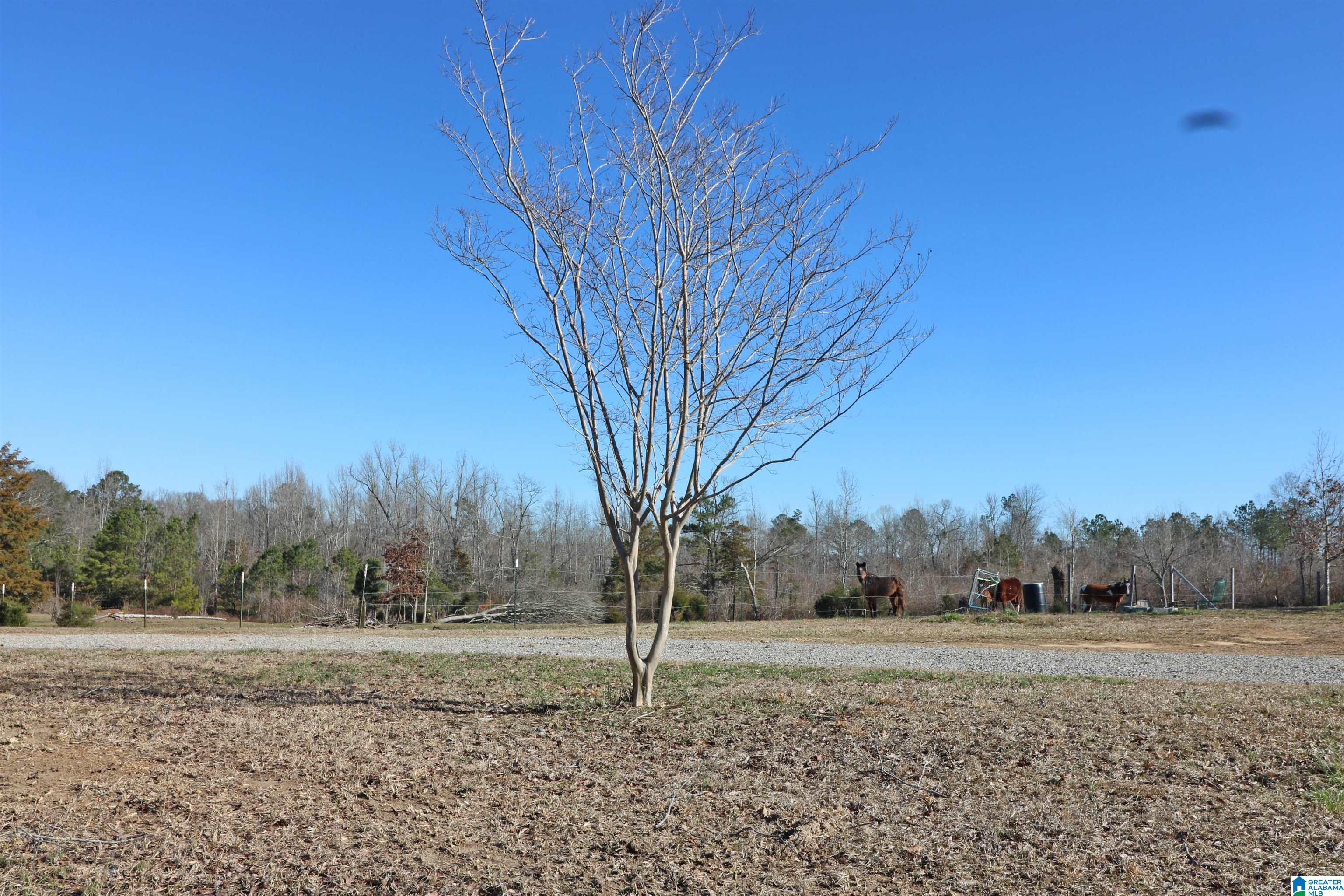 400 3 Cedars Road Ohatchee, AL 36271 - Photo 3 of 44