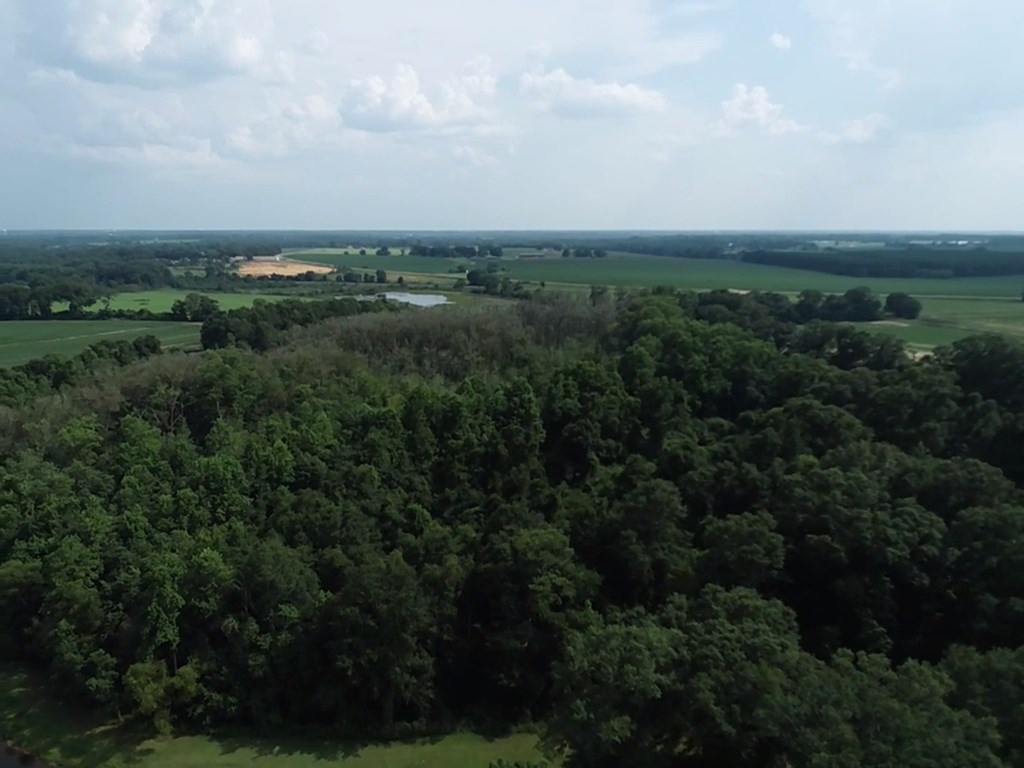 132.3-ac Green Road Dothan, AL 36303 - Photo 13 of 63