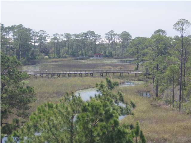 160 Red Cedar Way Santa Rosa Beach, FL 32459 - Photo 1 of 13 Primary Photo
