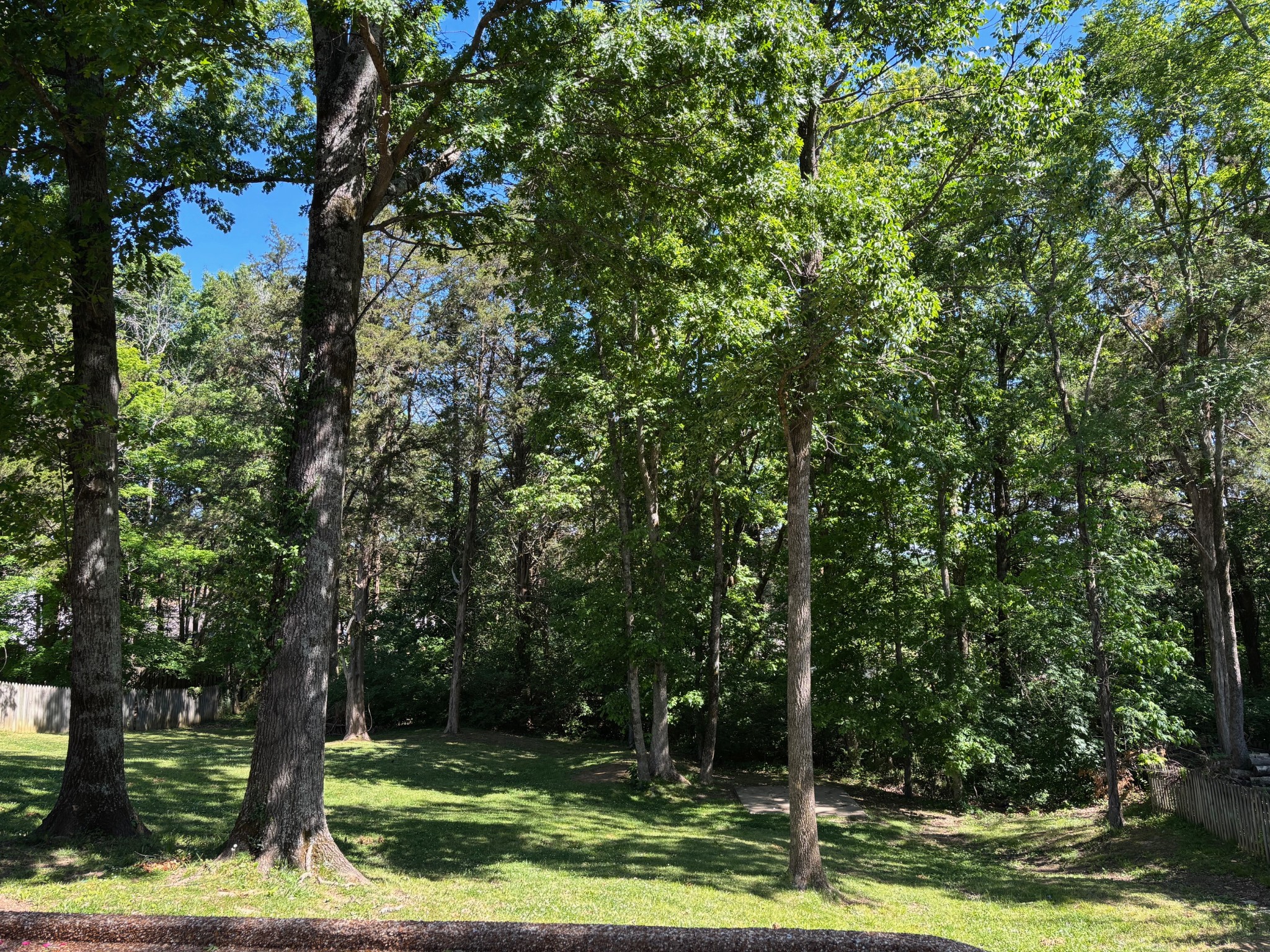 629 Mer Rouge Drive Nolensville, TN 37135 - Photo 5 of 53