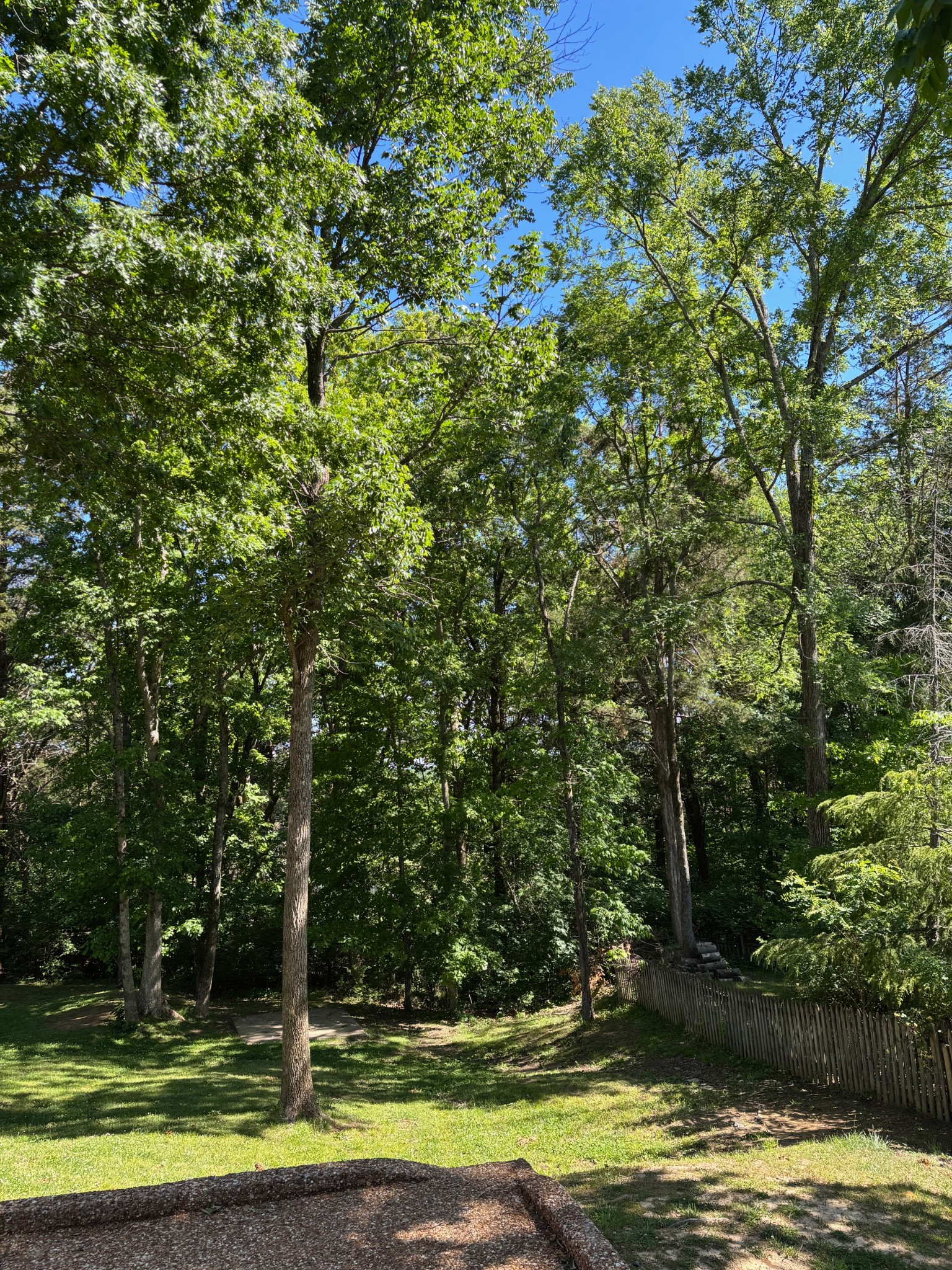 629 Mer Rouge Drive Nolensville, TN 37135 - Photo 7 of 53