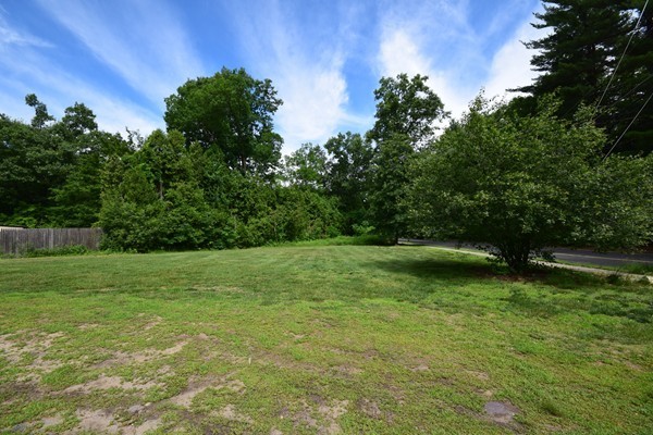 175 Tinkham Road Springfield, MA 01129 - Photo 28 of 30 a view of a garden with a tree