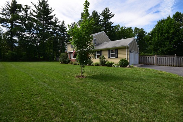 175 Tinkham Road Springfield, MA 01129 - Photo 30 of 30 a view of a house with a yard and green space