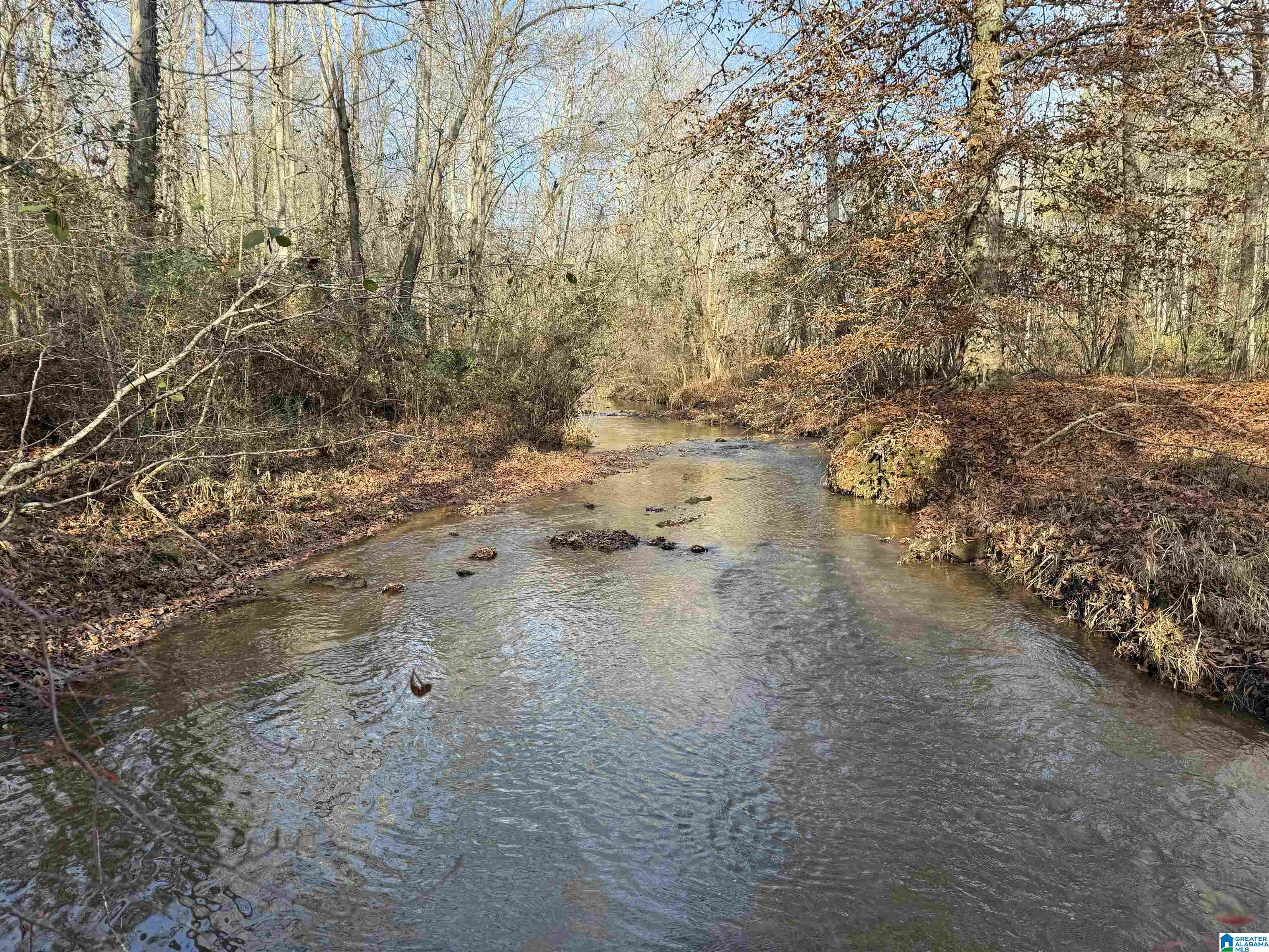 0 County Road 208 Heflin, AL 36264 - Photo 1 of 10