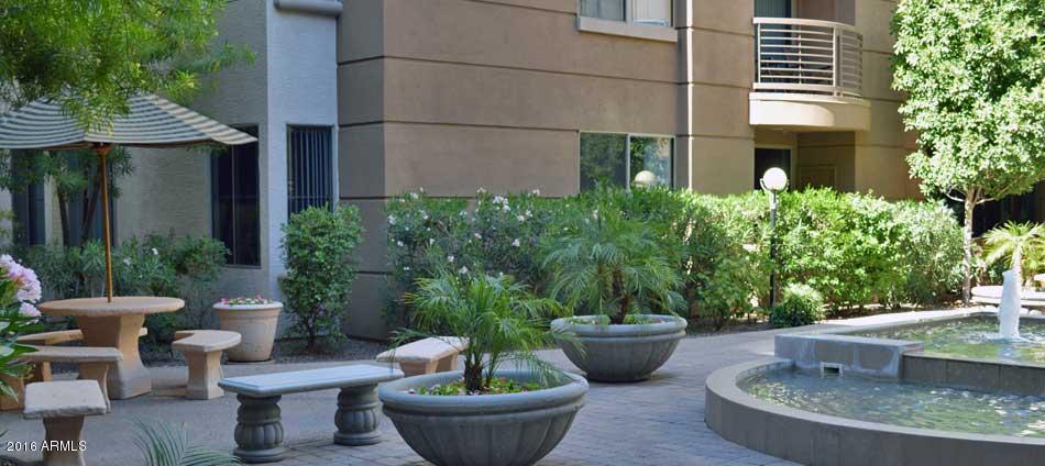 1701 East Colter Street, Unit 333 Phoenix, AZ 85016 - Photo 29 of 36 a view of a backyard with plants and chairs