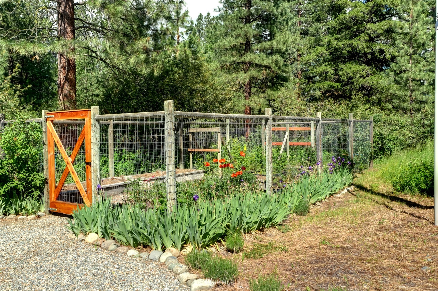 32 Lobos Run Road Winthrop, WA 98862 - Photo 23 of 39 Gallery Image 23
