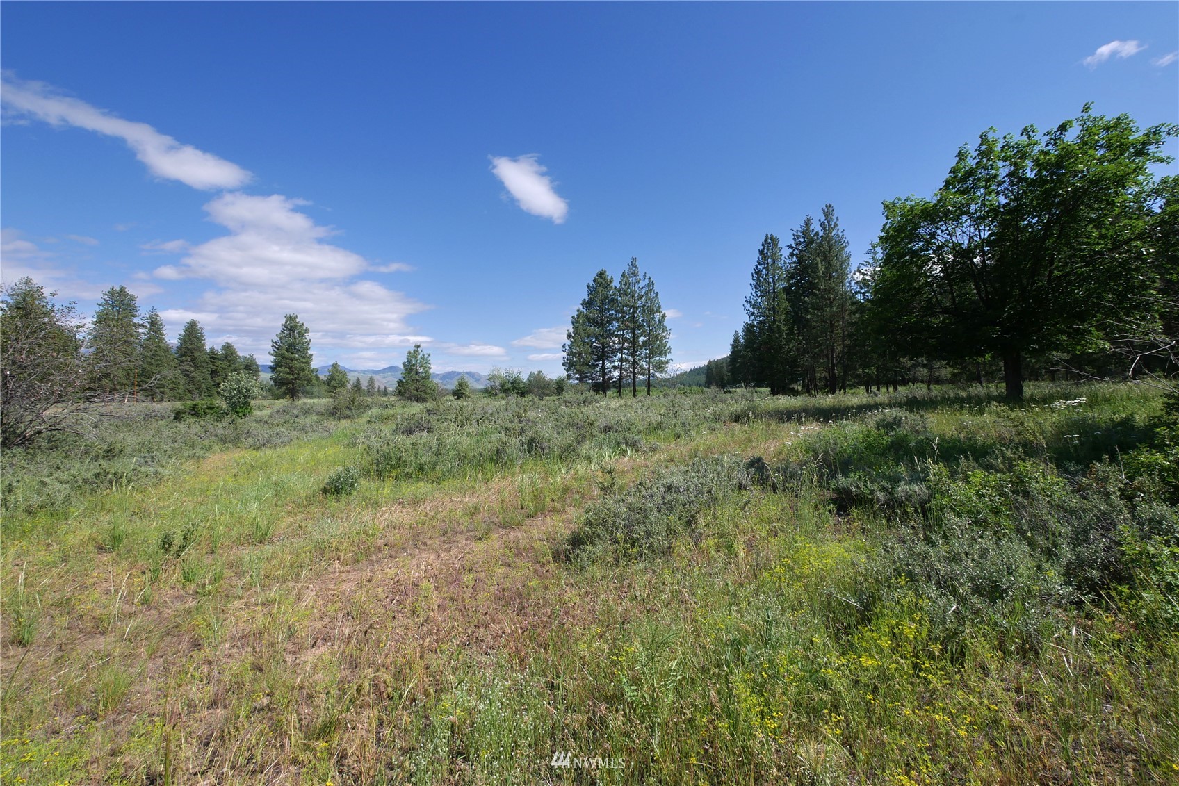 32 Lobos Run Road Winthrop, WA 98862 - Photo 38 of 39 Gallery Image 38