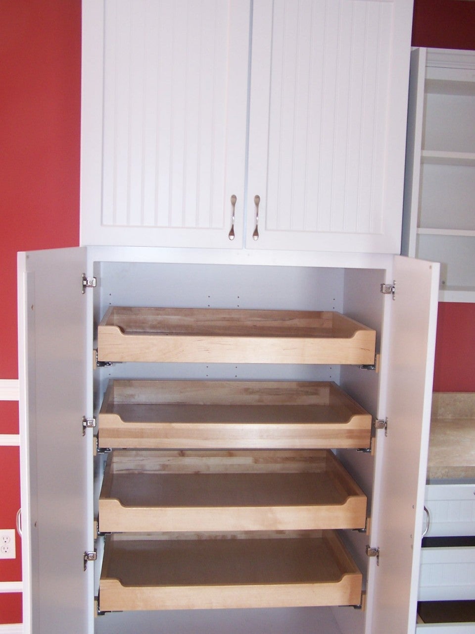 2791 Ft Spring Pike Sinks Grove, WV 24976 - Photo 8 of 12 Pull out shelving