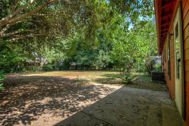 a view of a backyard with plants and large tree