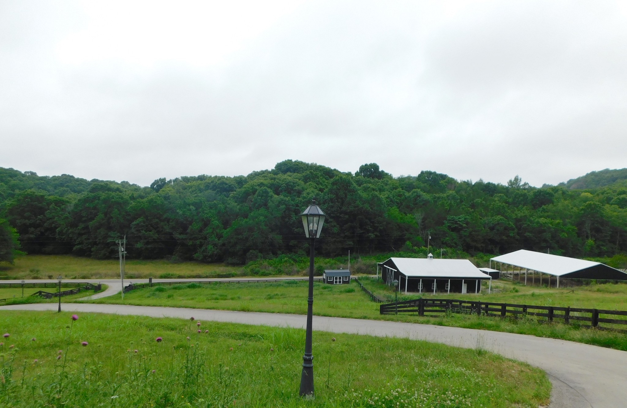 6720 Lane Road College Grove, TN 37046 - Photo 2 of 6 Gallery Image 2
