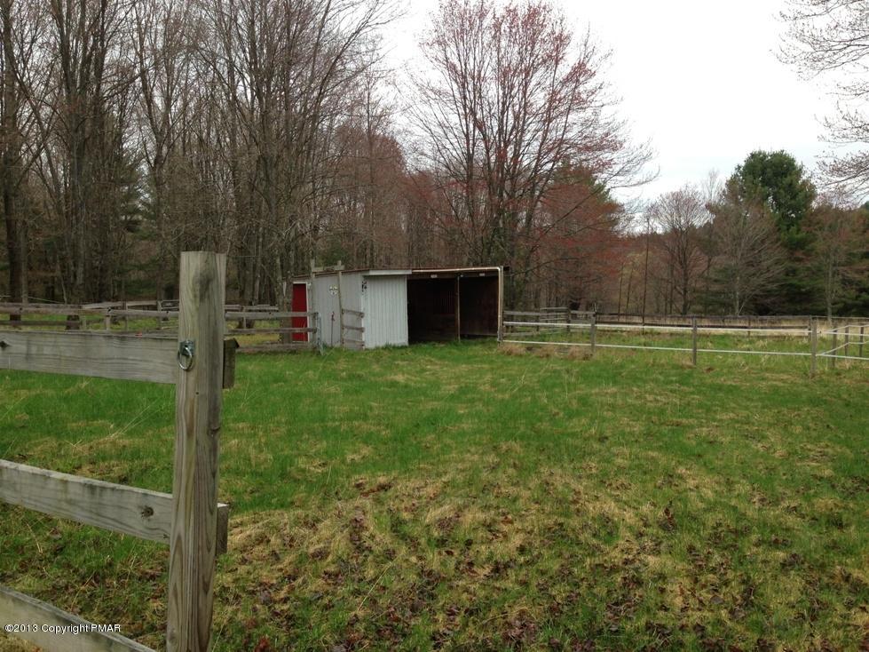 134 Atco Road Beach Lake, PA 18405 - Photo 18 of 19 Pasture