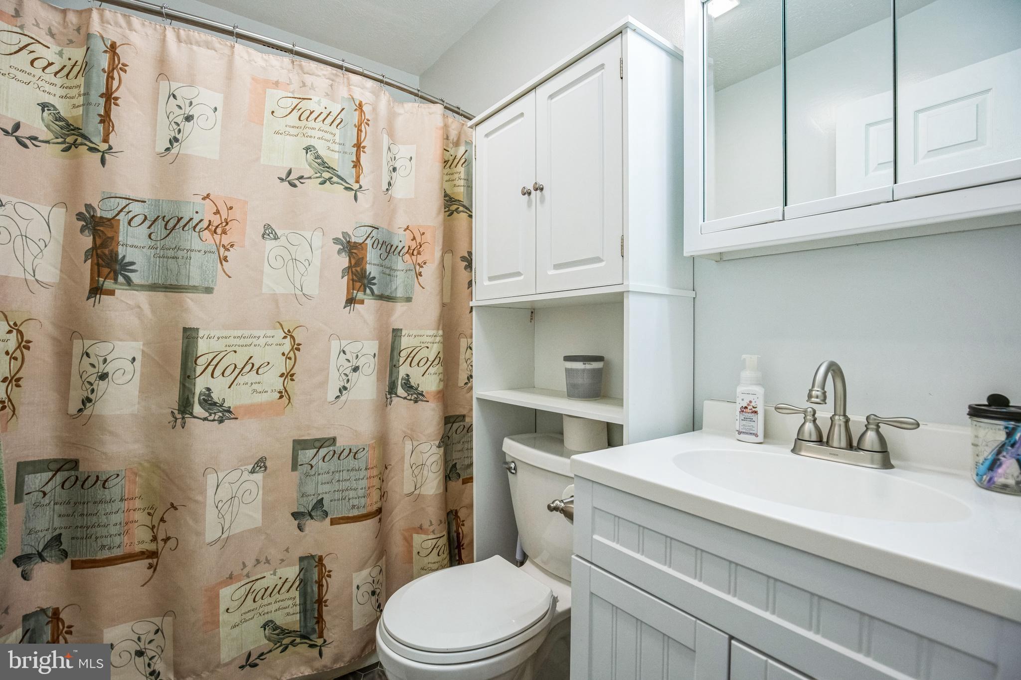 48550 Havirland Road Lexington Park, MD 20653 - Photo 21 of 36 a bathroom with a sink a toilet and shower curtain