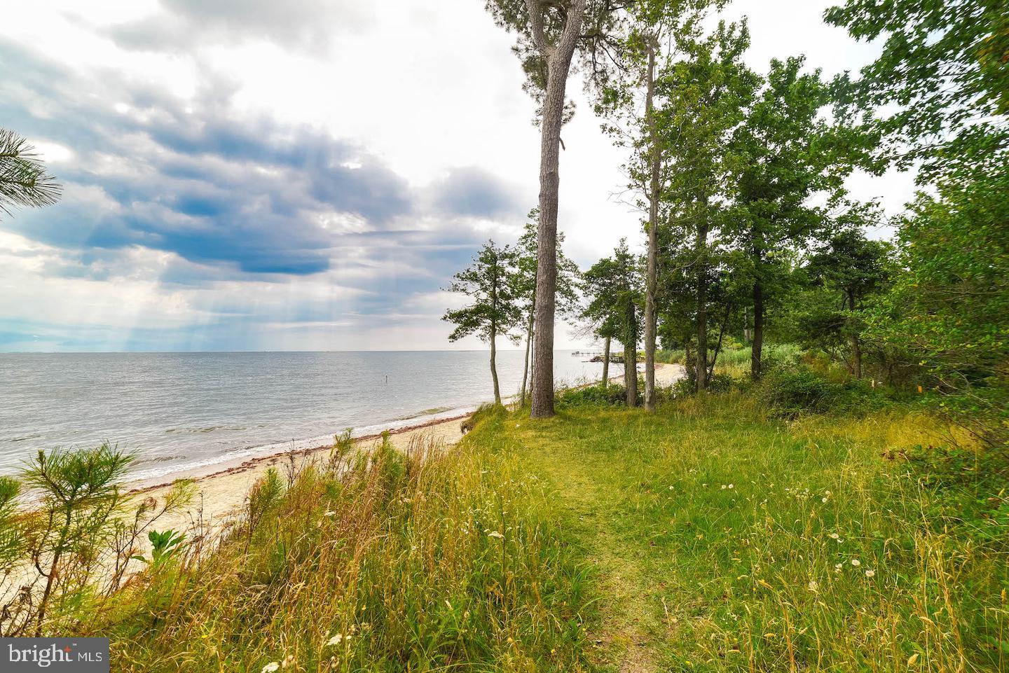 48550 Havirland Road Lexington Park, MD 20653 - Photo 35 of 36 a view of an ocean from a yard