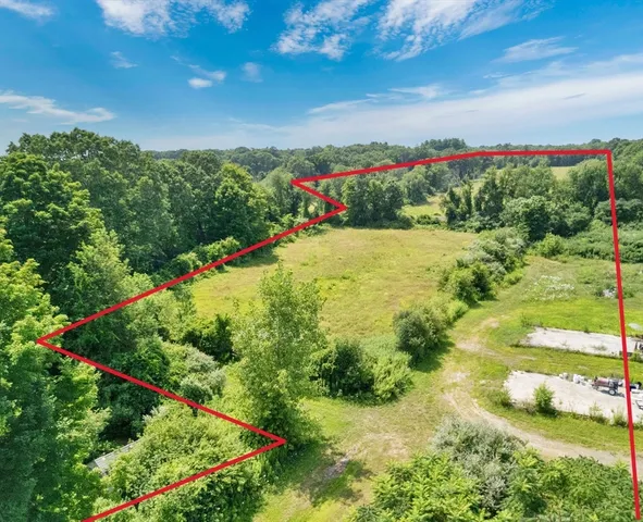 a view of a flower in a garden