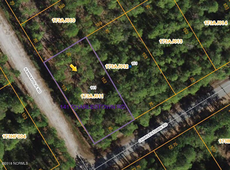 FireShot Capture 176 - Brunswick Coun_ -