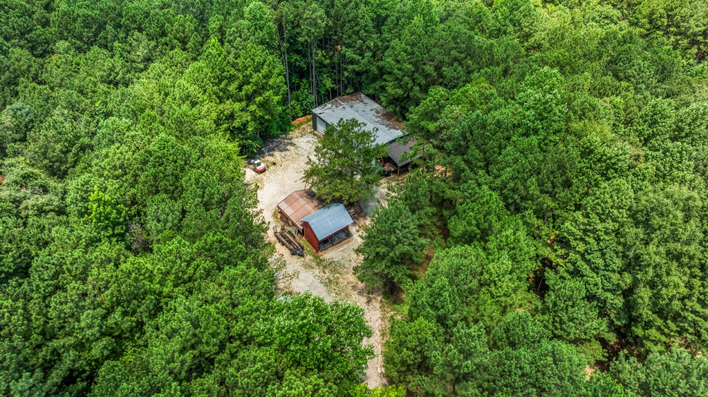 877 McKee Road Waverly Hall, GA 31831 - Photo 61 of 71 Gallery Image 61