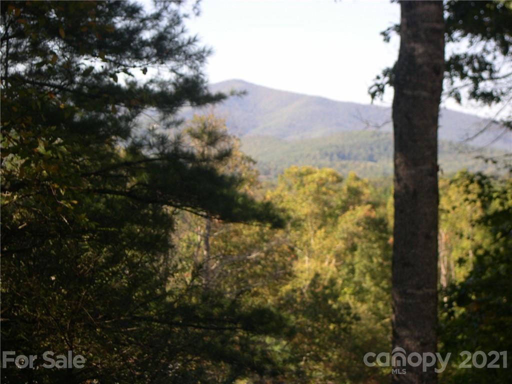 Tbd Halltown Road, Unit 5 Spruce Pine, NC 28777 - Photo 2 of 5 Gallery Image 2