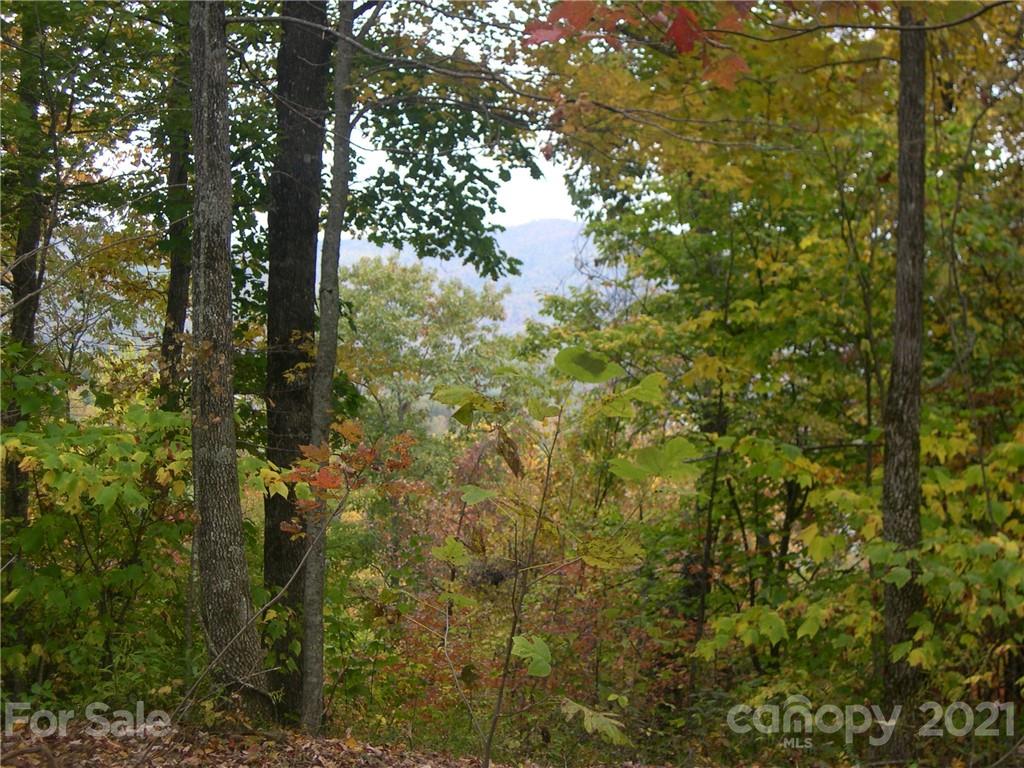 Tbd Halltown Road, Unit 5 Spruce Pine, NC 28777 - Photo 5 of 5 Gallery Image 5