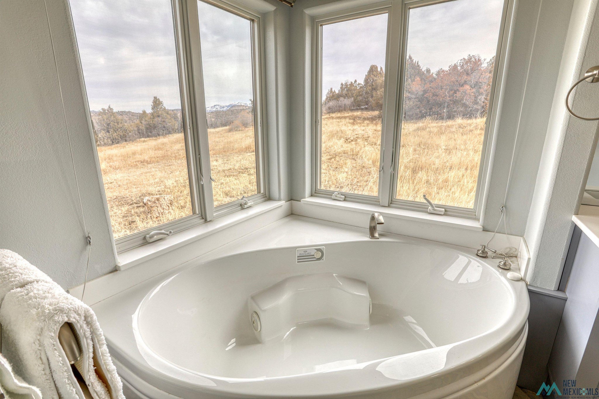 12 Horn Toad Road Chama, NM 87520 - Photo 33 of 52 Gallery Image 33